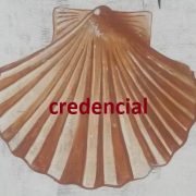 coquille credencial