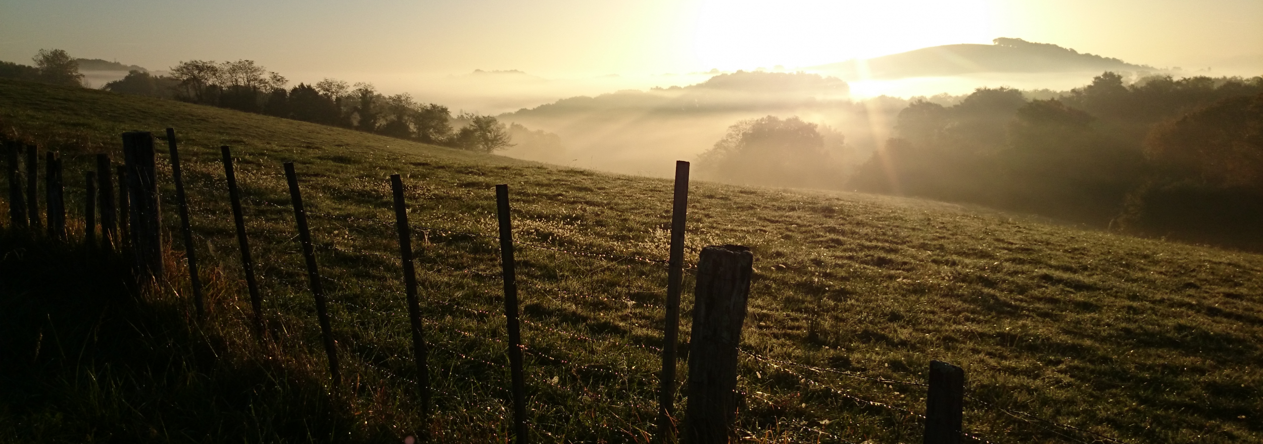 Pérégrination matinale peu avant Garris (Pyrénnées Atlantiques)